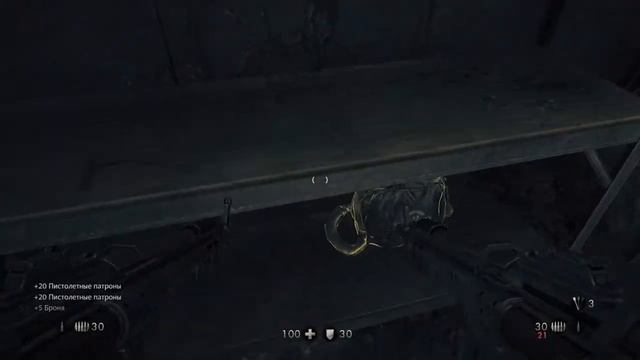 Wolfenstein:The New Order 18+