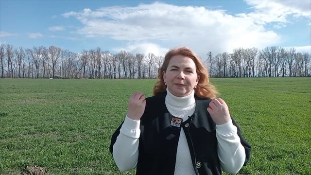 Як підвищити урожайність озимої пшениці? Вплив на довжину колоса та кількість колосків в колосі