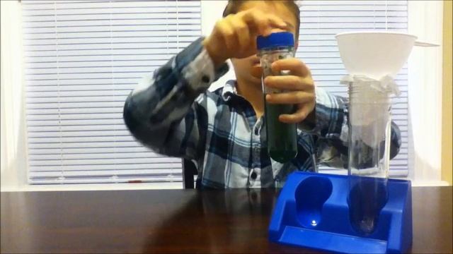 GLOWING SPINACH Easy Kids Science Experiments