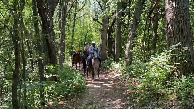 Part 2 : Trail Training- How To Have A Successful First Trail Ride
