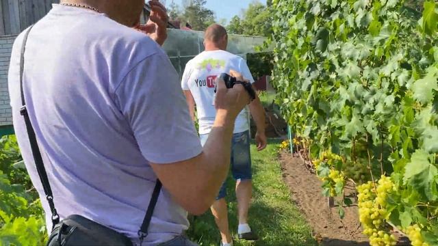 037973f86c0722a827020300b0ba2ed0