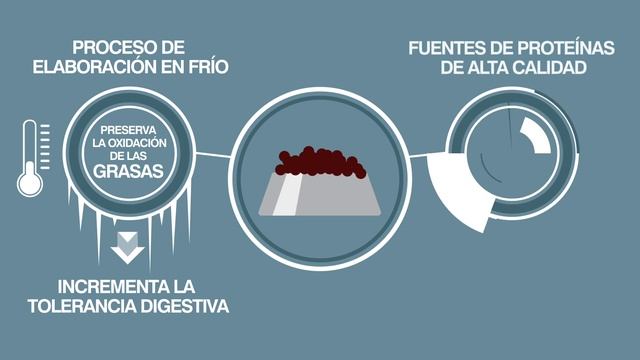 Tolerancia Digestiva Con Veterinary HPM