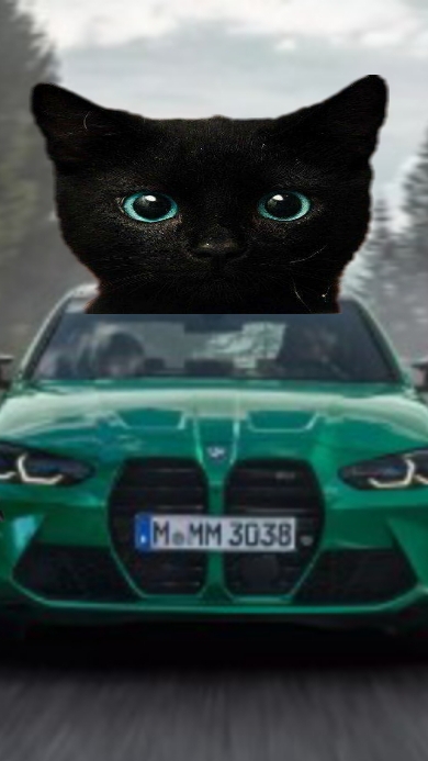 56da437d17f5d63dc52afc77a98835b7