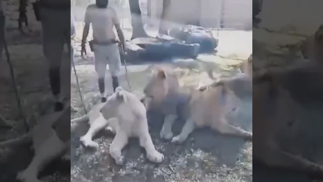 Путешествуйте вместе с нами 💕