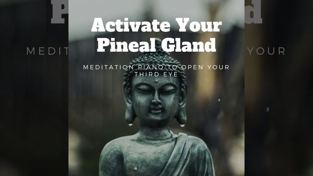 6166fd7294d2e7ec238b523067e1427f