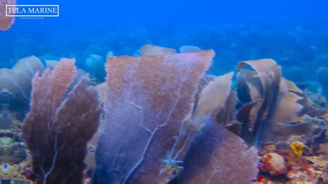 4a50a473d743cc1c9e29a078c17abfdd