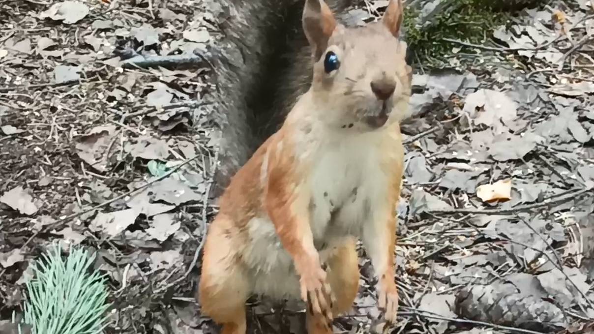 54648661eb7d46df2143593801c47b1c