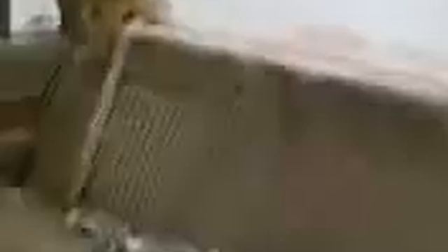 95 Buick Lesabre 4 Sale