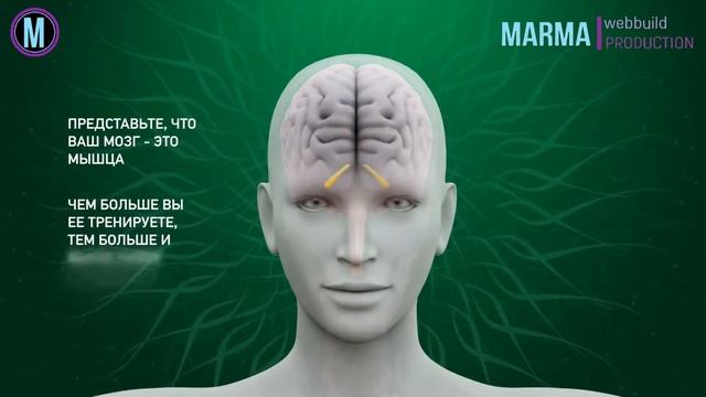 Как защитить мозг от болезней.