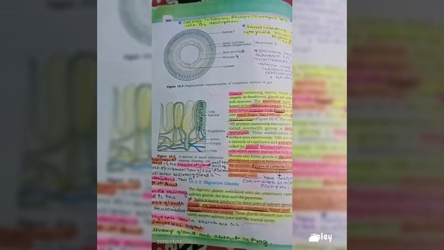 Digestion And Absorption One Shots 🤩 | #ncert Class 11th | #neetaspirants