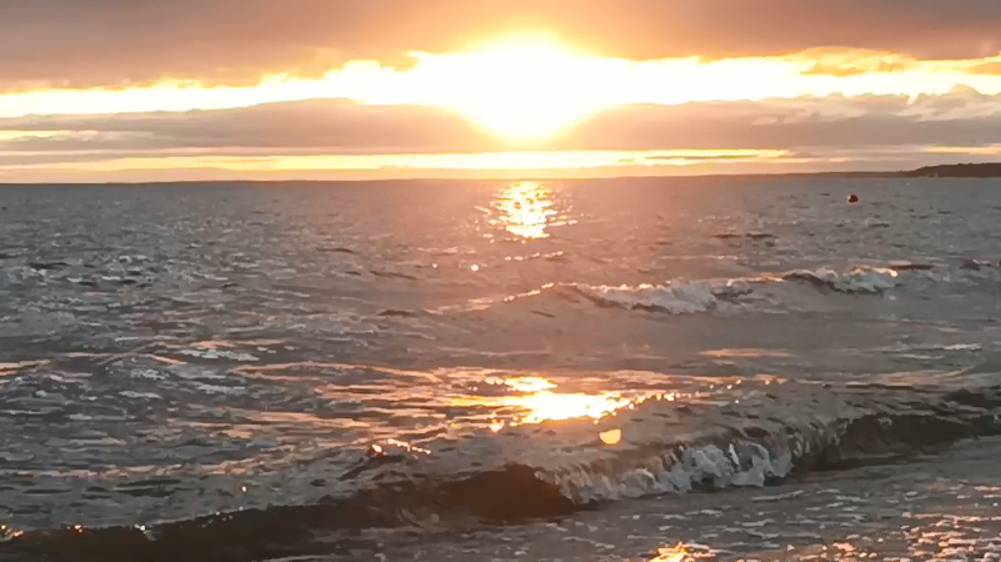 F68a8d5a95fa710b99faeea08fad03bd