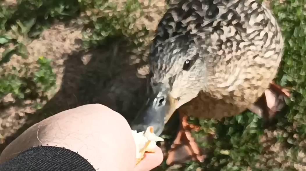 316e45a17f5f602267b68b5ea26bacfb