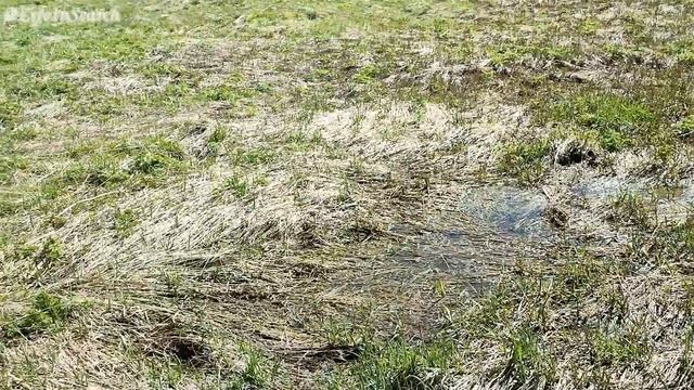 Монеты Царской России нашли в урочище