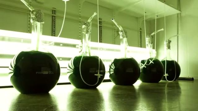 Все секреты о Вэлнэс