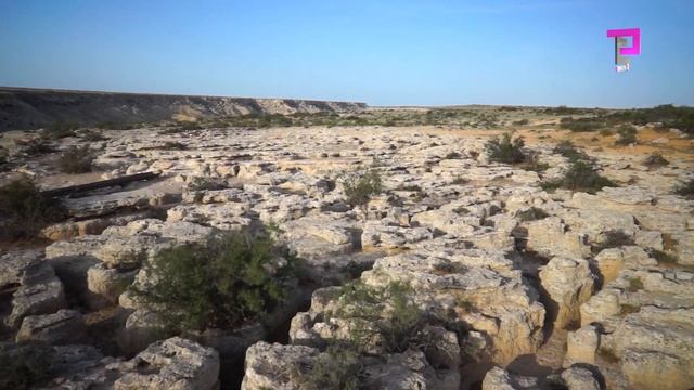 Dcab60f927101f4311dab34dc79d2950