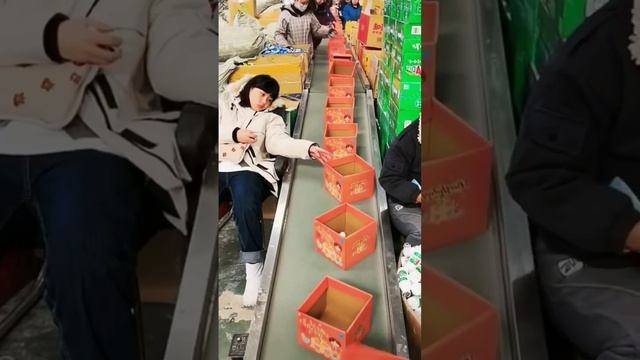 Ec2a078facab5d154b88b4d5a9740c51