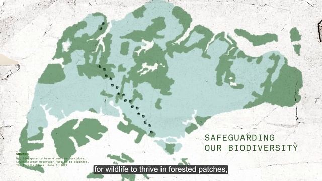 Wildlife Conservation | Explained In 3 Minutes #04