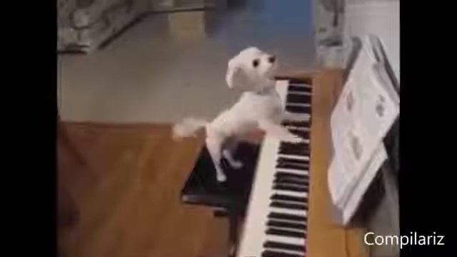 80e9c9e57bc9aee5be5778a1103dfc98