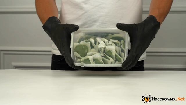 F057fe8eddbcee80c850121533d5a31b