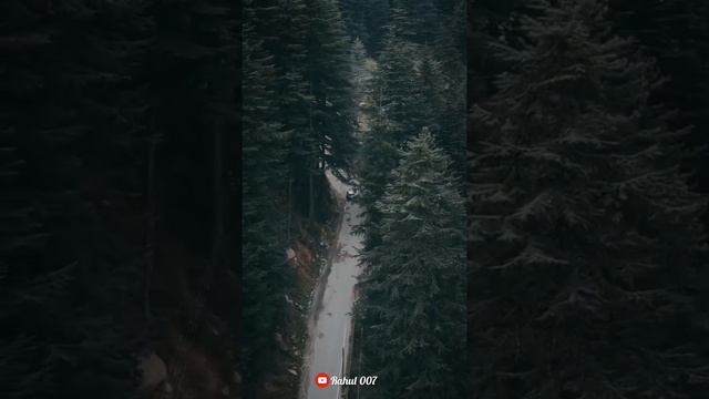 4k Nature Beauty Status Video