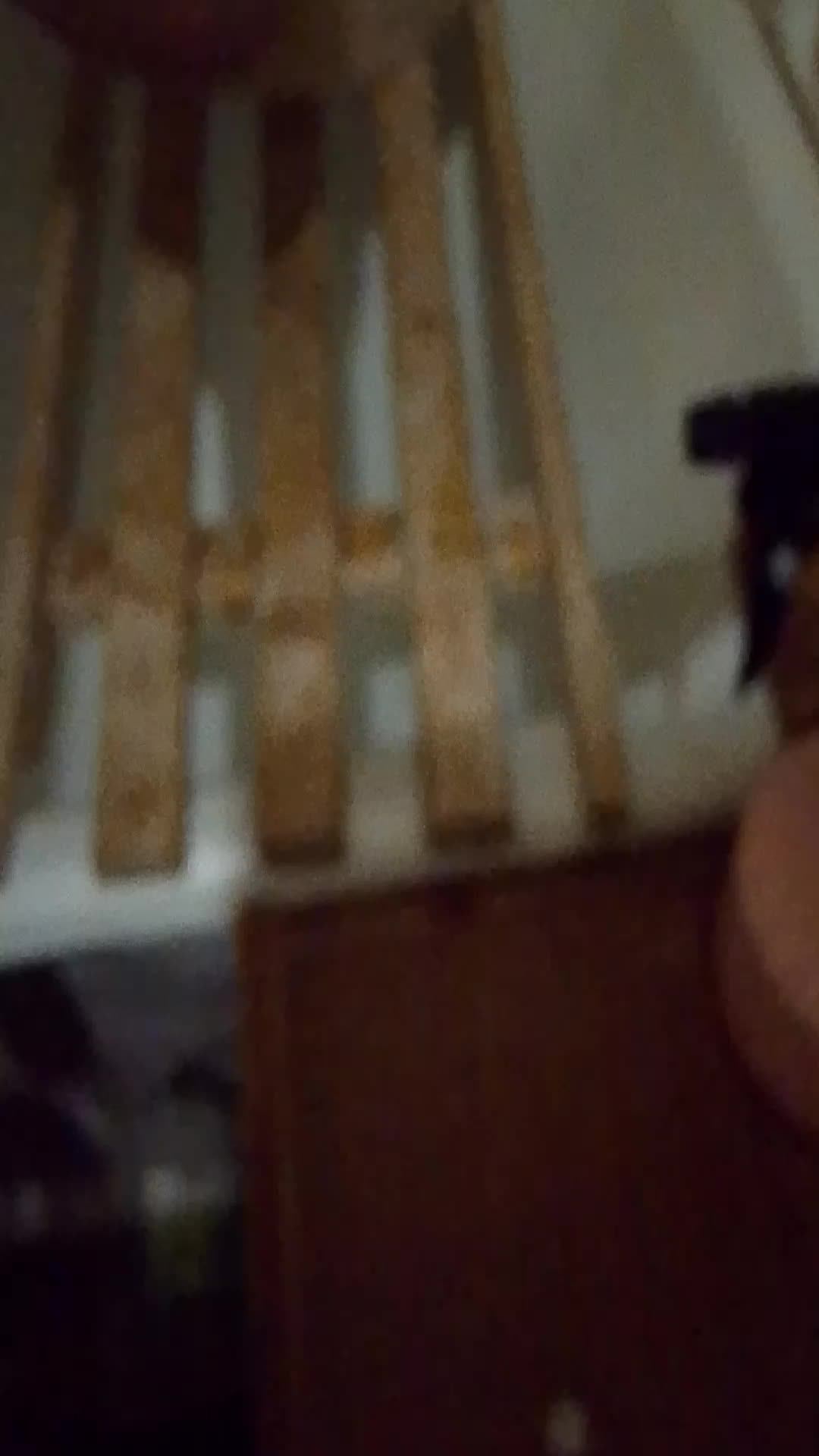 лапки 3 часть