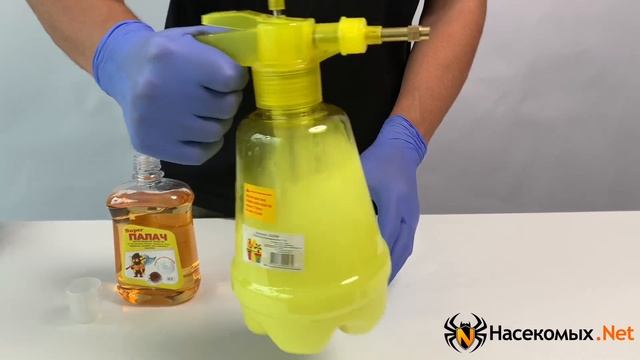 92ea0800e50a834cd957d9edb5fcc62d