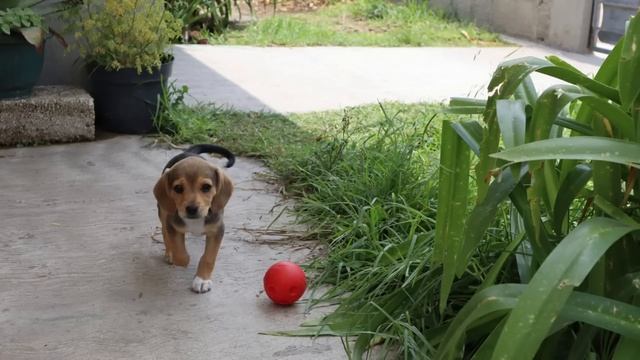 Истории из жизни. Нет опыта. Жизненные истории. Интересные истории. Душевные истории. Рассказы.