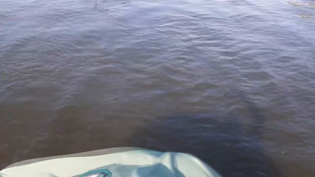 Клип SDE от 04.08.2024