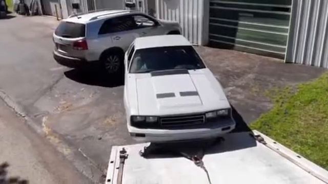 1983 Mercury Capri In Color