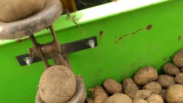 Вот так мы садим картошку 👍🥔