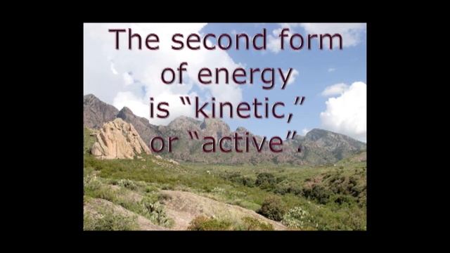 Energy In The Food Chain