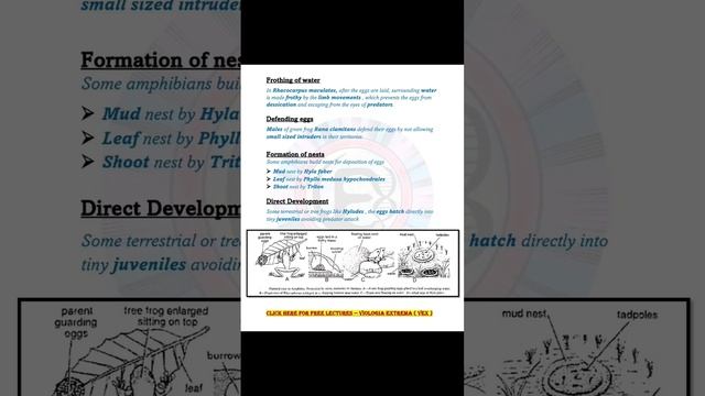 C18ea2d7c60050b22aa3fea97684431c