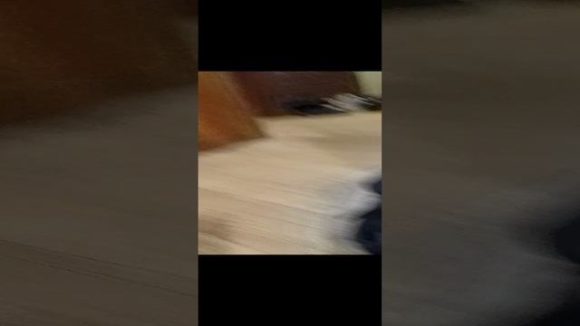 Fa622d80cbd3ea0830624dded2120ef7