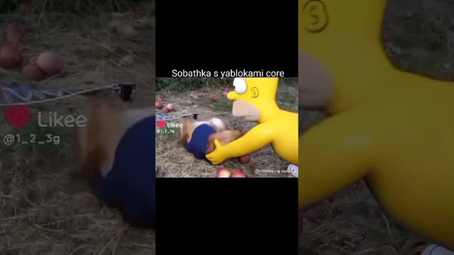 23e4775633169e6f59c2fa6c472e0250