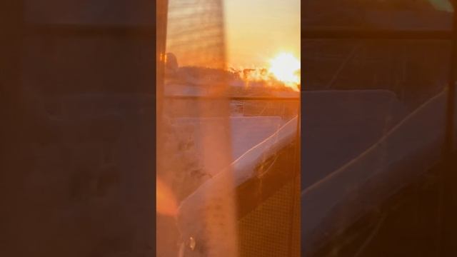 С нами 🌞 и 🌕