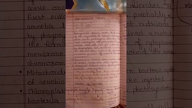 Endosymbiotic Theory