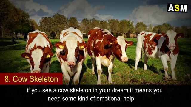 What Does Cow Dream Meaning | Cow Dream Interpretation | Dreaming Of Cow