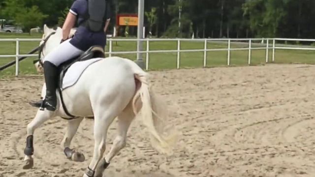 Hanski Kesäkuu Kisat 70cm