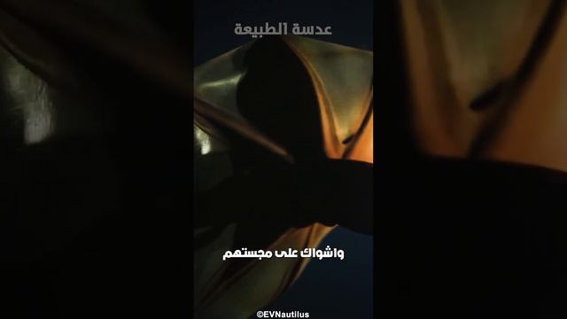 الحبار مصاص الدماء #مرعب الاعماق