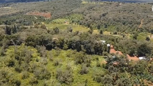 3.2ha 71m MẶT TIỀN, HỒ,390 TRIỆU/ HA. Cách Hồ Lớn 1Km, Nhựa 681 1.5km, Ql 14A 12km, ( ĐÃ BÁN)