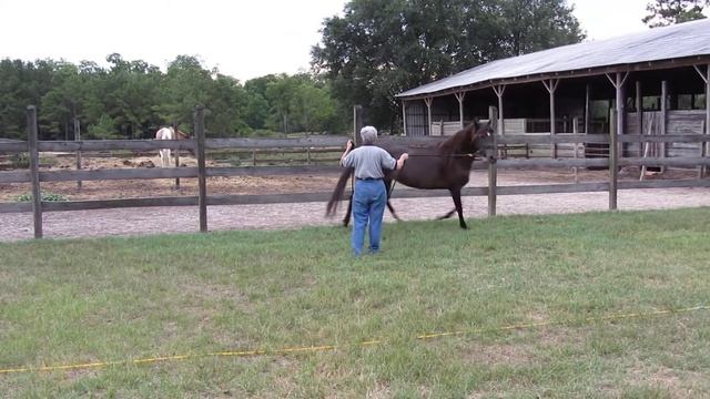 53a39a9f130ed82acf1997b874508d90