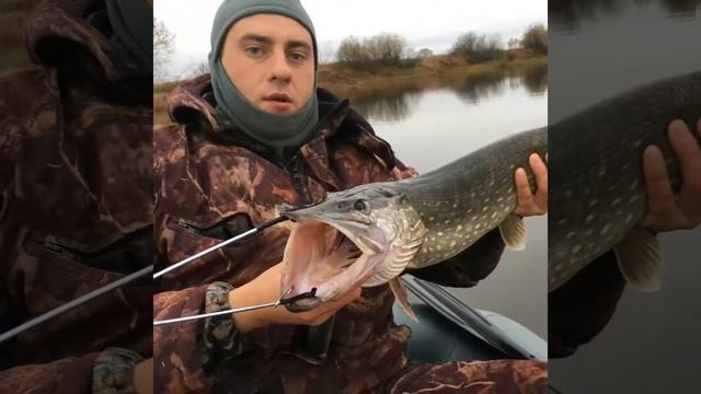 Море Щуки 2017 Ноябрь(More Shchuki Monstry 2017 Noyabr')