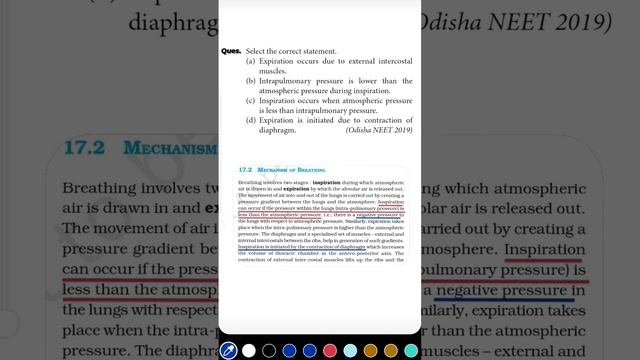 1 Question 1 Min. Series, [Breathing & Exchange Of Gases] | Neet Biology Questions PYQs Solved.