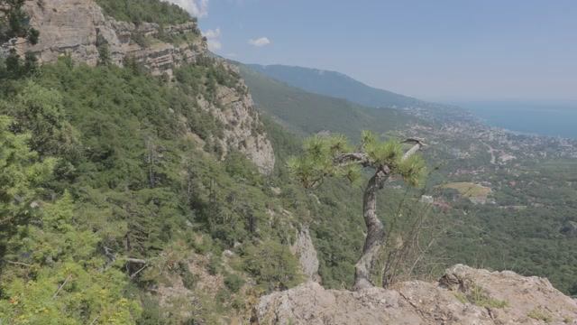 ЯЛТА-ЛИВАДИЯ июль 2021