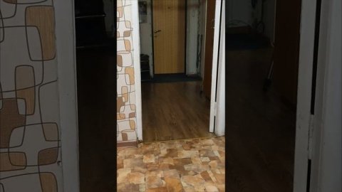 Уроки Беллы 😏🐶☝️