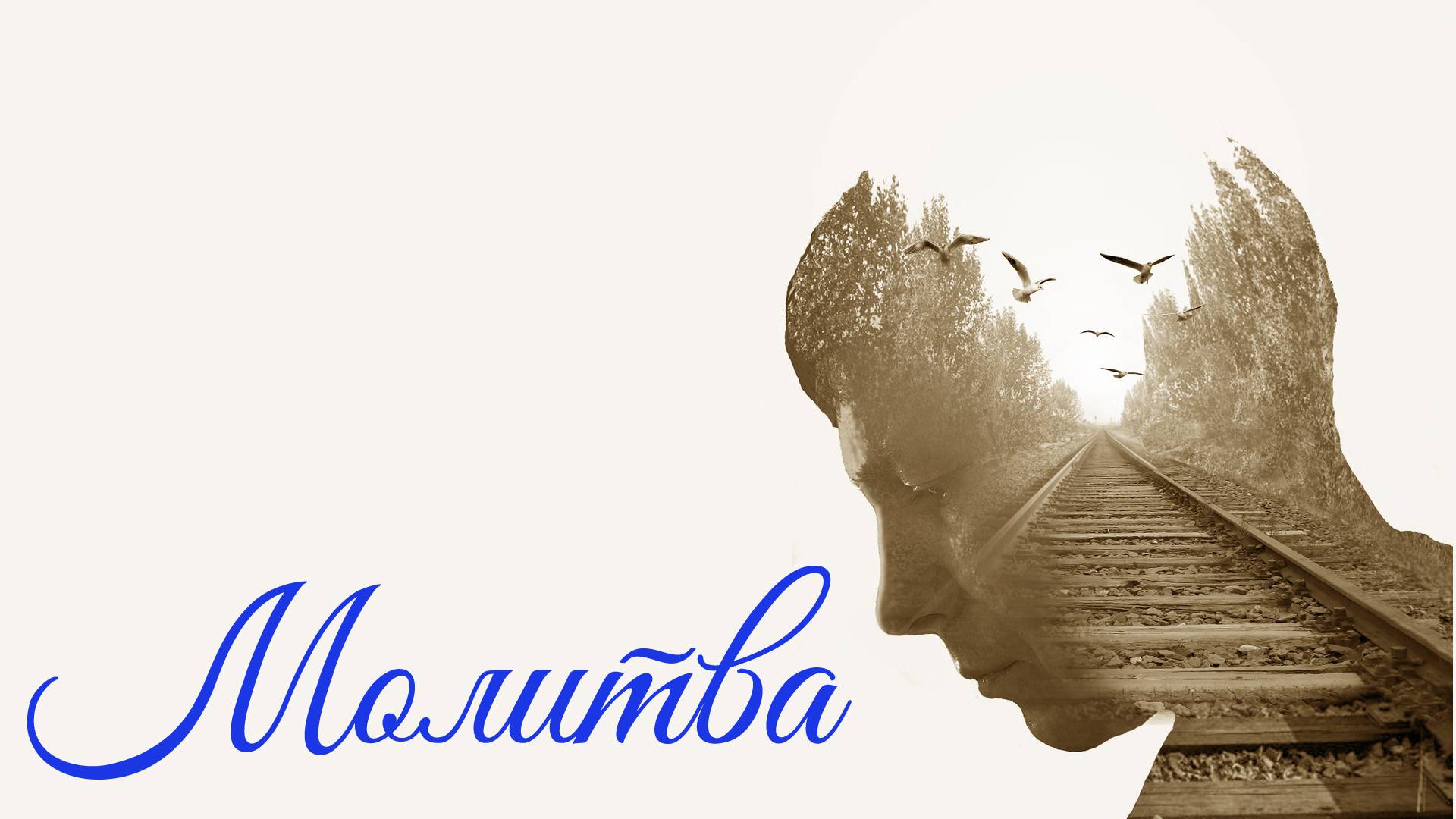 346e960d197f9e71a581af42f8be7677