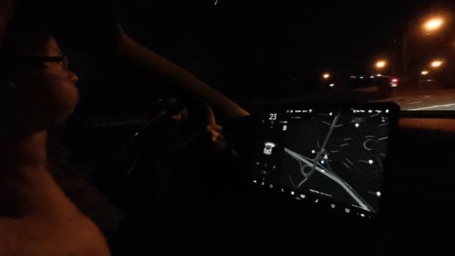 Janice Test Driving 