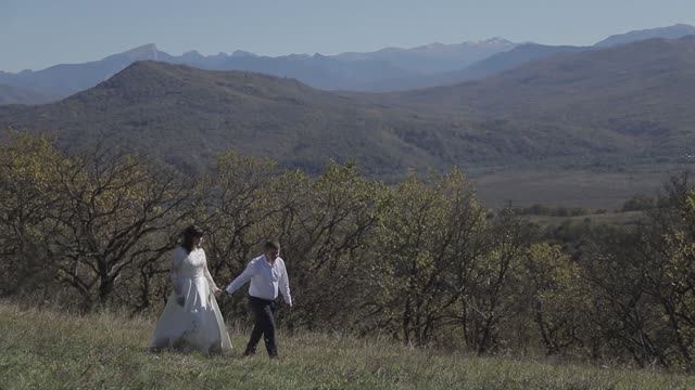 F1388702bcbd8eaa50ae2d281d9645cb