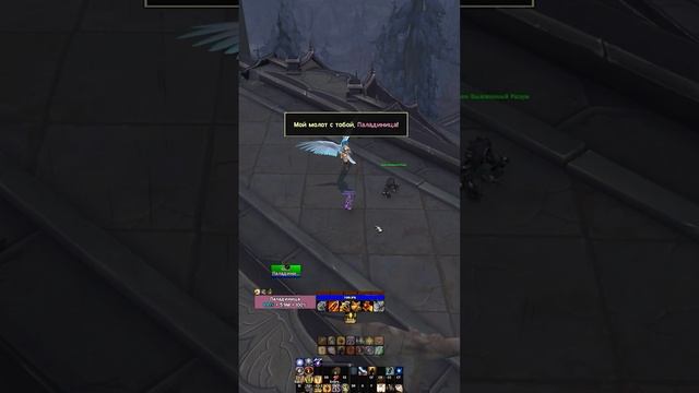 Мой Молодстабой  #worldofwarcraft #wow #паладин #shadowlands #bags