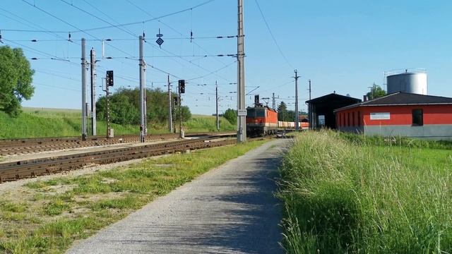 REX 41, 2118, 2122, LZ 86816 Und NG 63017 In Schwarzenau (4K)